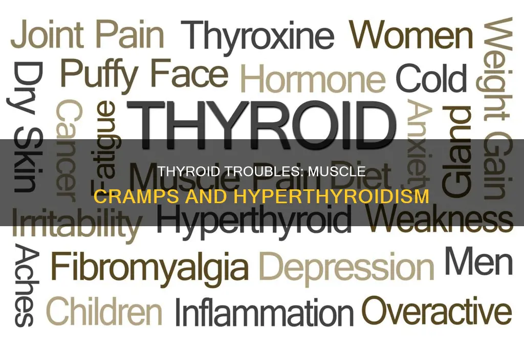 can an overactive thyroid cause muscle cramps