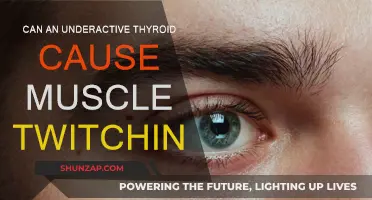 Thyroid and Muscle Twitching: Is There a Link?