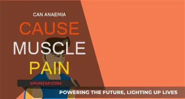 Anemia and Muscle Pain: Is There a Link?