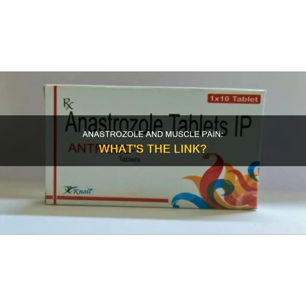 can anastrozole cause muscle pain