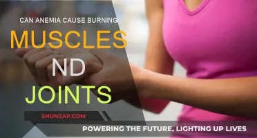 Anemia and Burning Muscles: What's the Connection?