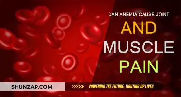 Anemia and Body Aches: What's the Link?