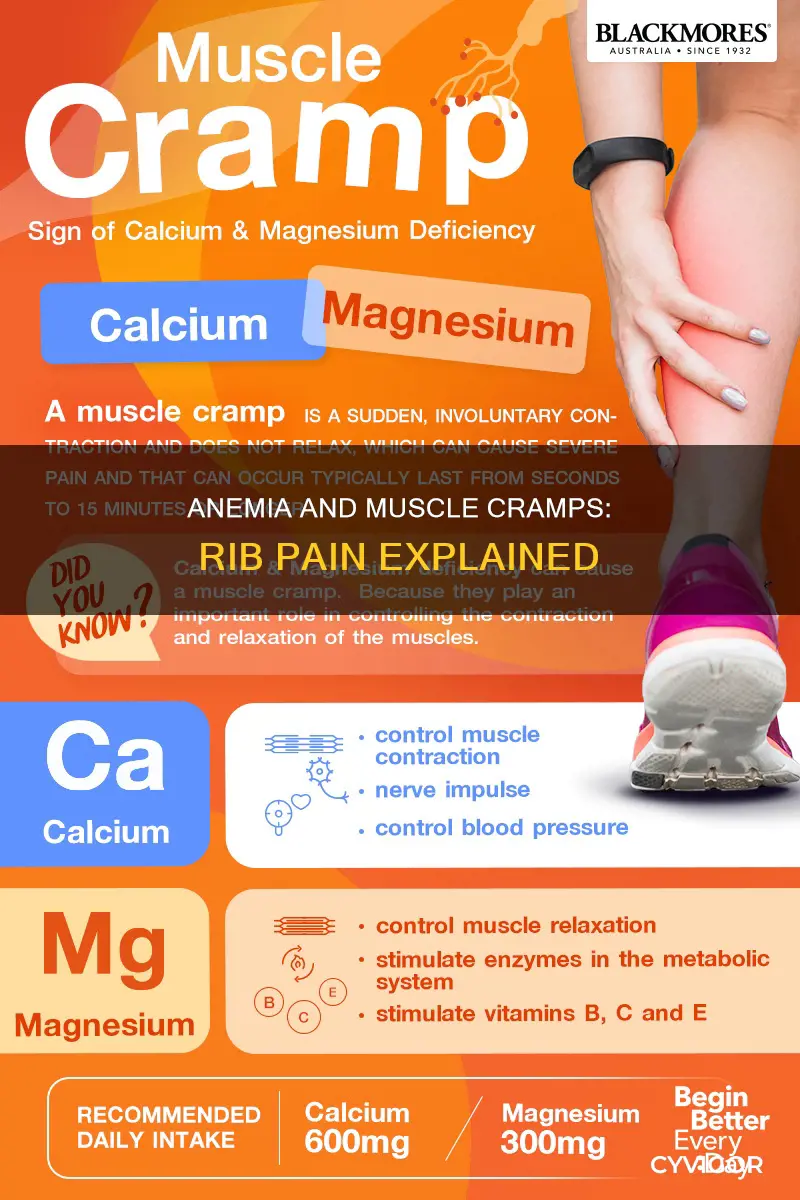 can anemia cause muscle cramps in the ribs