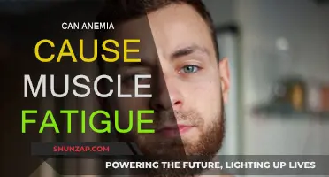 Anemia and Muscle Fatigue: Understanding the Connection