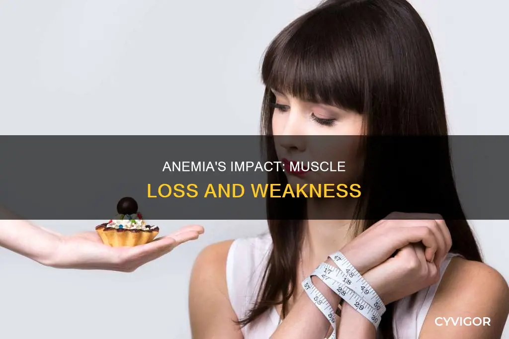 can anemia cause muscle loss
