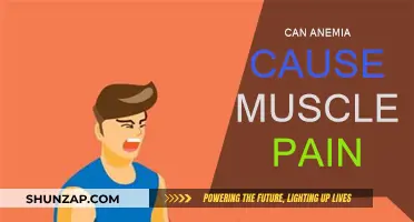 Anemia and Muscle Pain: What's the Link?