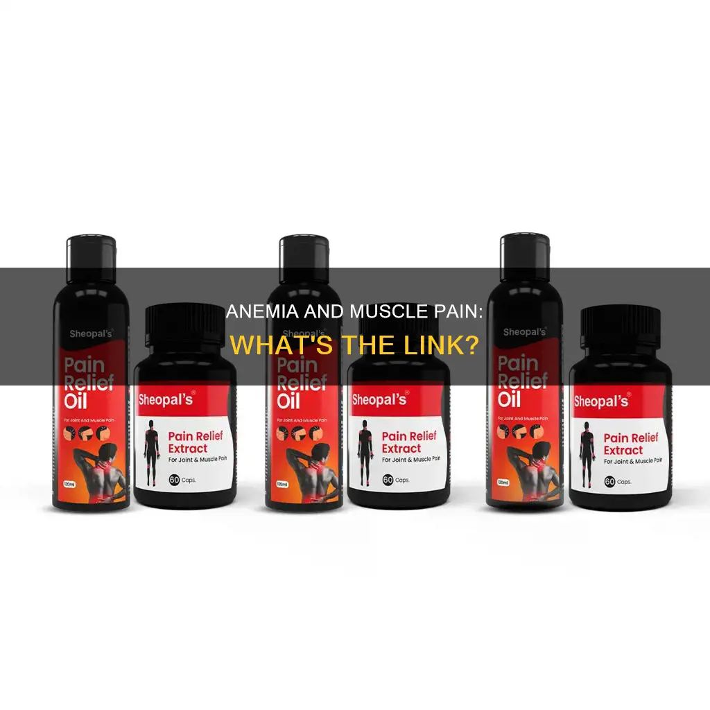 can anemia cause muscle pain