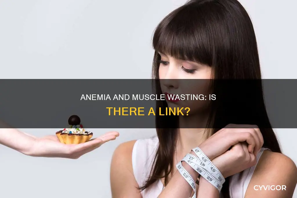 can anemia cause muscle wasting