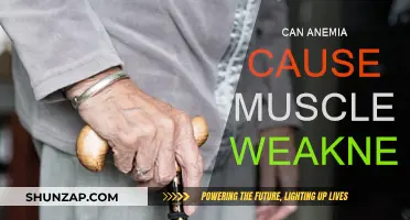 Anemia and Muscle Weakness: What's the Link?
