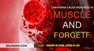 Anemia: Weak Muscles and Forgetfulness?