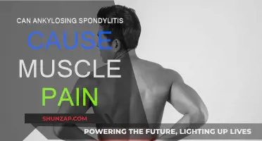 Ankylosing Spondylitis: Muscle Pain and Its Connection