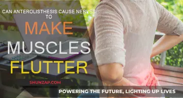 How Anterolisthesis Triggers Muscle Flutter