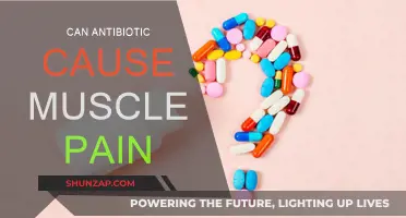 Antibiotics and Muscle Pain: What's the Link?