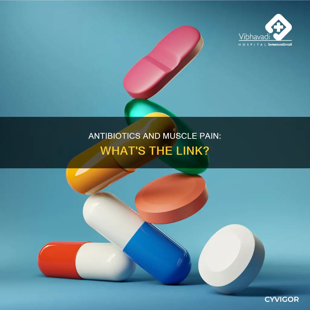can antibiotic cause muscle pain