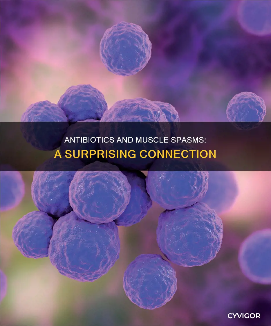 can antibiotic cause muscle spasms