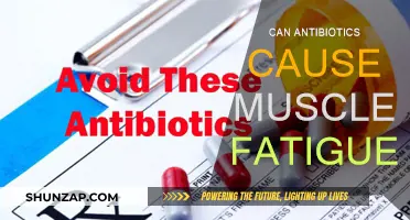 Antibiotics and Muscle Fatigue: What's the Link?