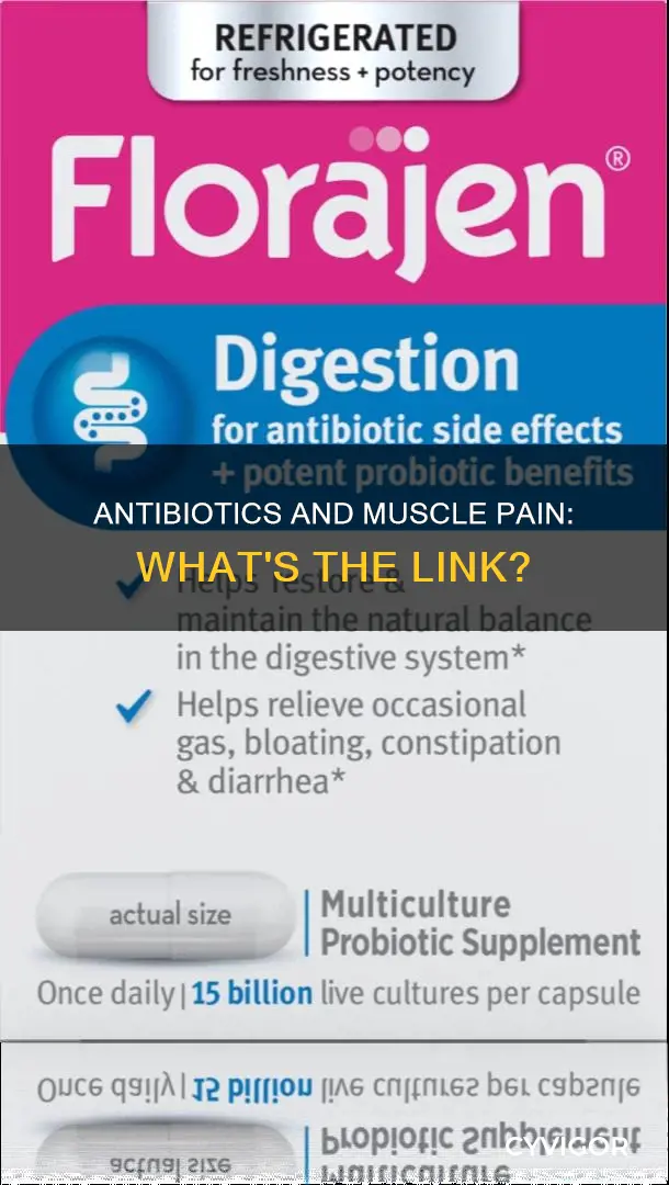 can antibiotics cause muscle pain