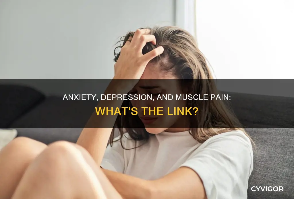 can anxiety and depression cause muscle pain