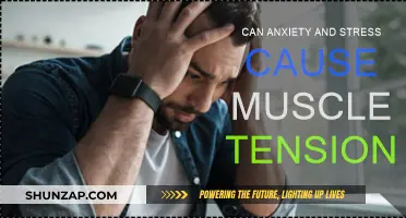 Anxiety, Stress, and Muscle Tension: What's the Link?