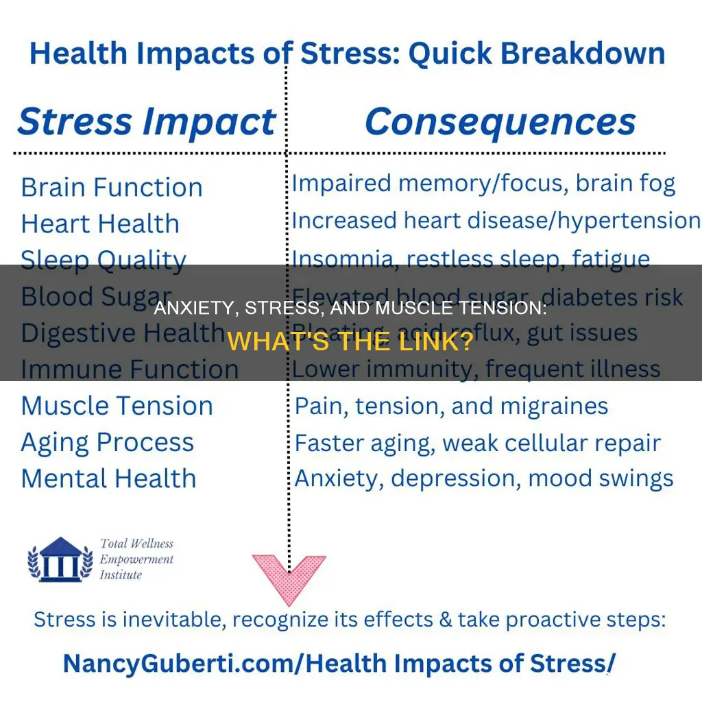 can anxiety and stress cause muscle tension