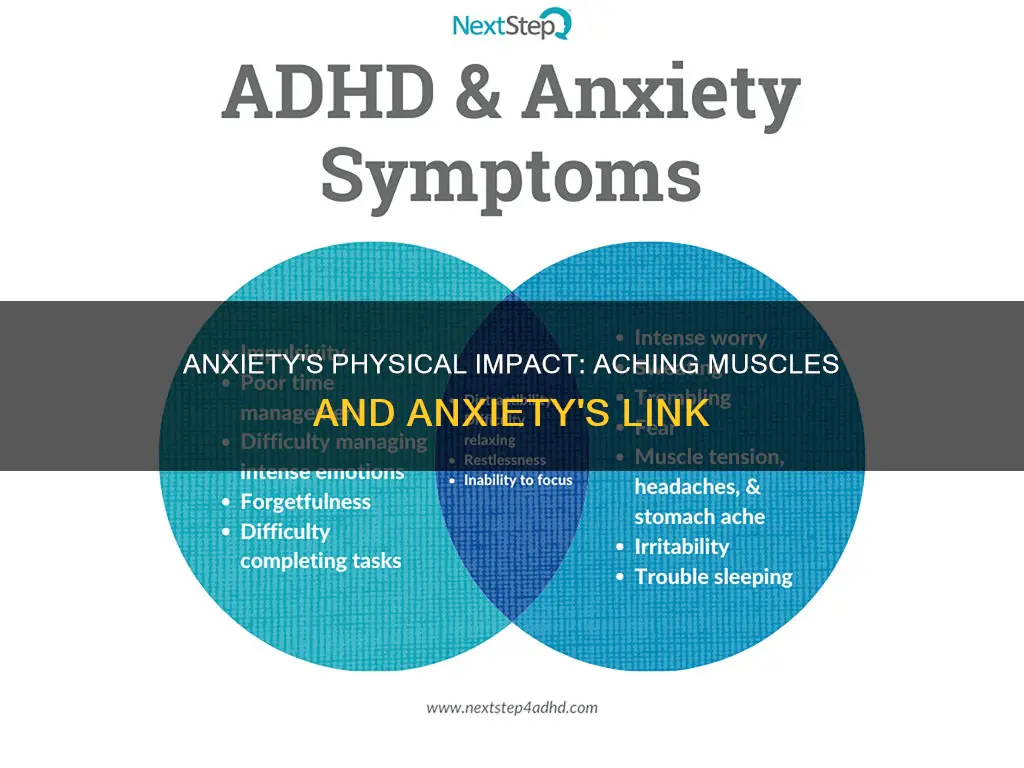 can anxiety cause aching muscles