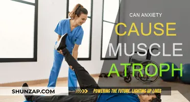 Anxiety and Muscle Atrophy: Is There a Link?