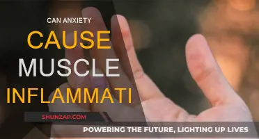 Anxiety and Muscle Inflammation: Is There a Link?