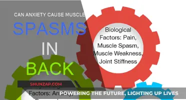 Anxiety and Back Muscle Spasms: What's the Link?