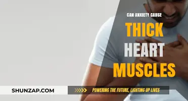 Anxiety and Heart Health: Thick Muscles, What's the Link?