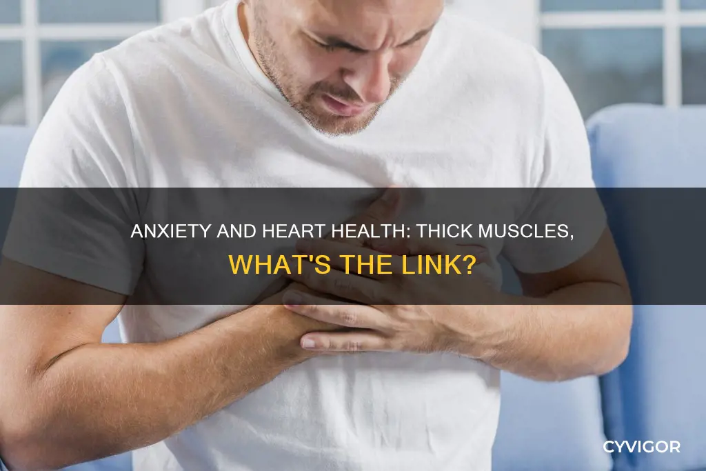 can anxiety cause thick heart muscles