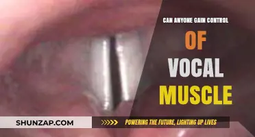 Mastering Vocal Muscle Control: Techniques and Possibilities for Everyone