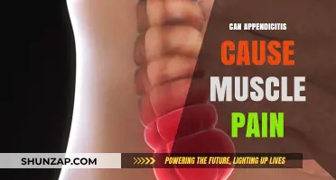 Appendicitis and Muscle Pain: What's the Link?