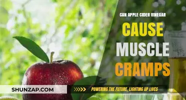Apple Cider Vinegar: Muscle Cramp Culprit or Cure?
