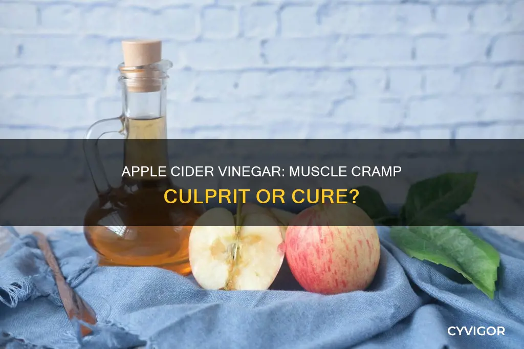 can apple cider vinegar cause muscle cramps