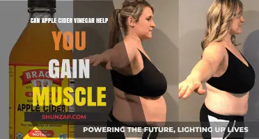 Apple Cider Vinegar for Muscle Gain: Fact or Fiction?