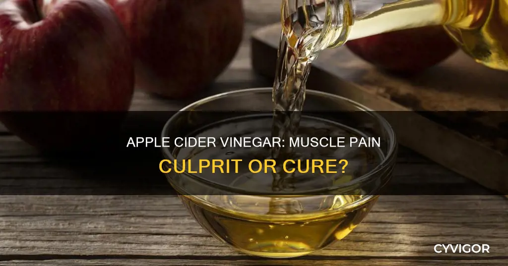 can apple cider vineger cause muscle pains