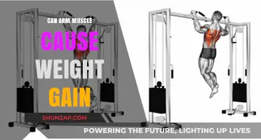 Arm Muscle and Weight Gain: Is There a Link?