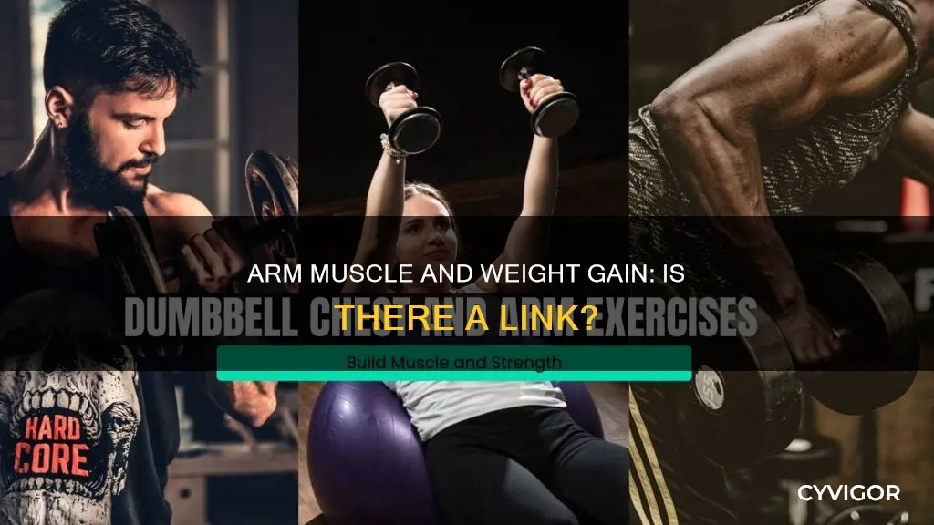 can arm muscle cause weight gain
