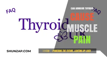 Armour Thyroid: Understanding the Link to Muscle Pain