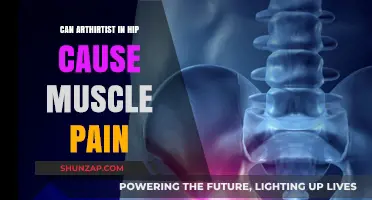 Hip Arthritis: Understanding the Link to Muscle Pain