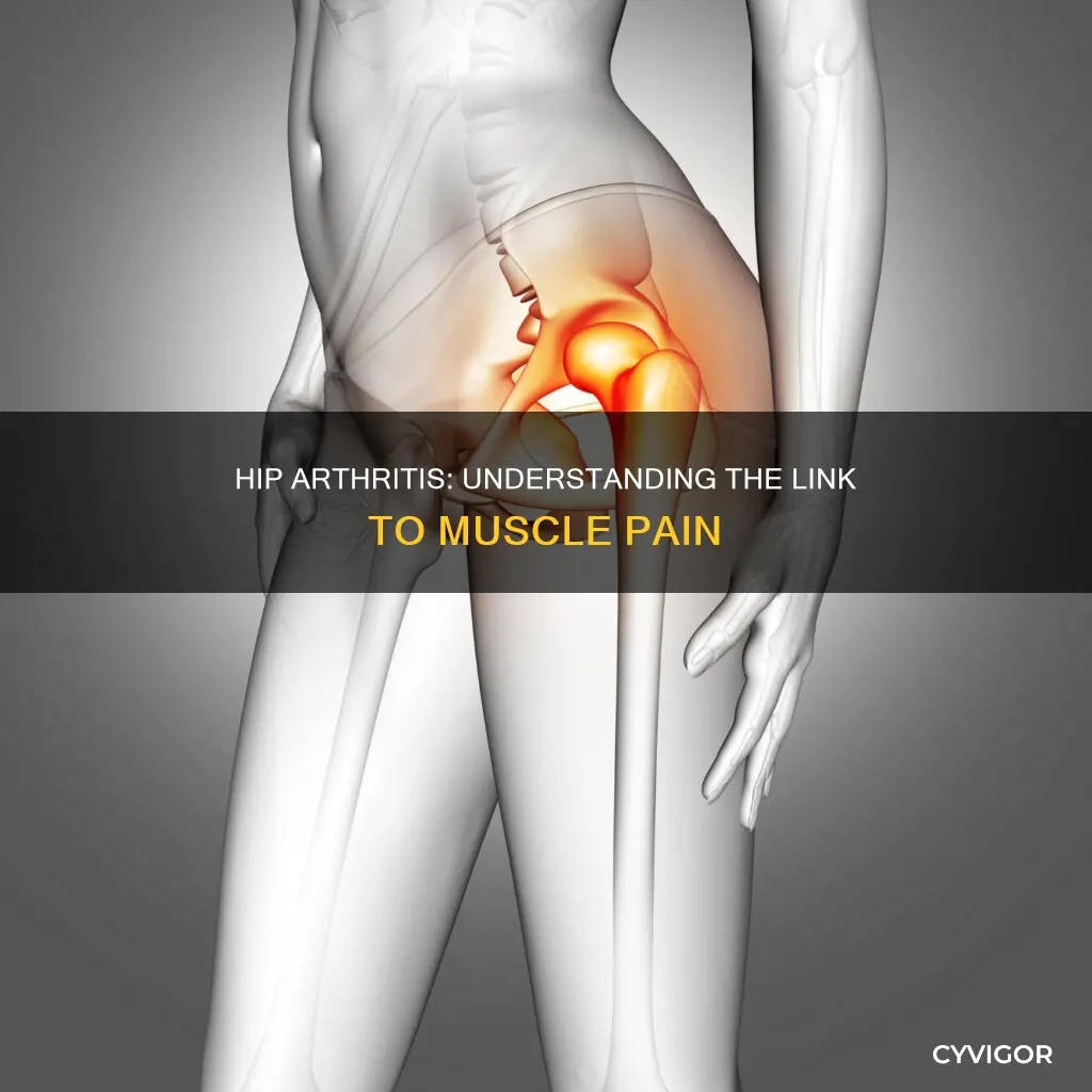 can arthirtist in hip cause muscle pain