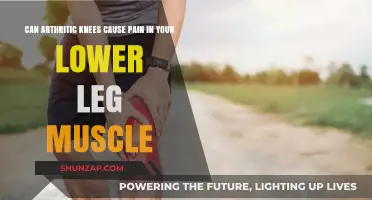 Arthritic Knees: Leg Pain and the Surprising Connection