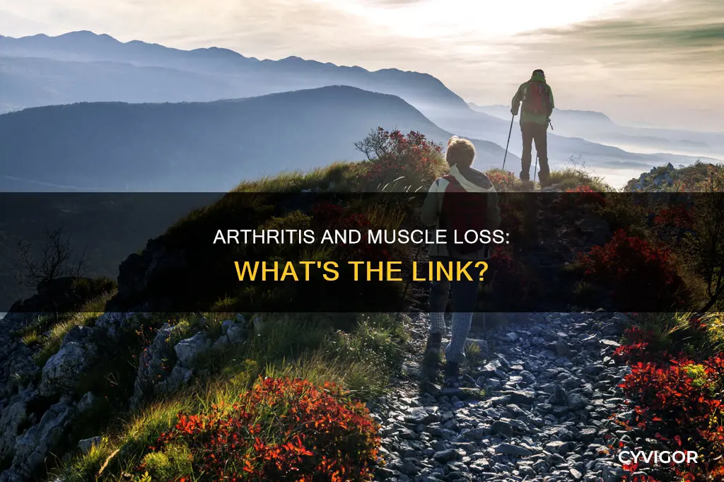 can arthritis cause muscle loss