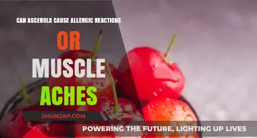 Ascerola Allergies: Side Effects and Muscle Aches