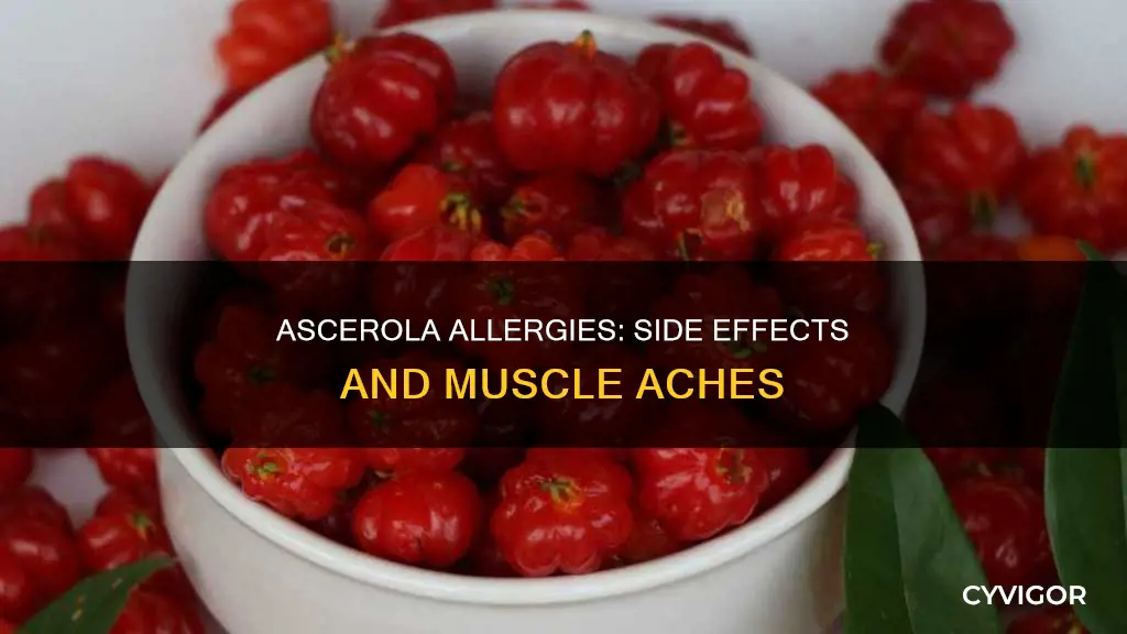 can ascerola cause allergic reactions or muscle aches