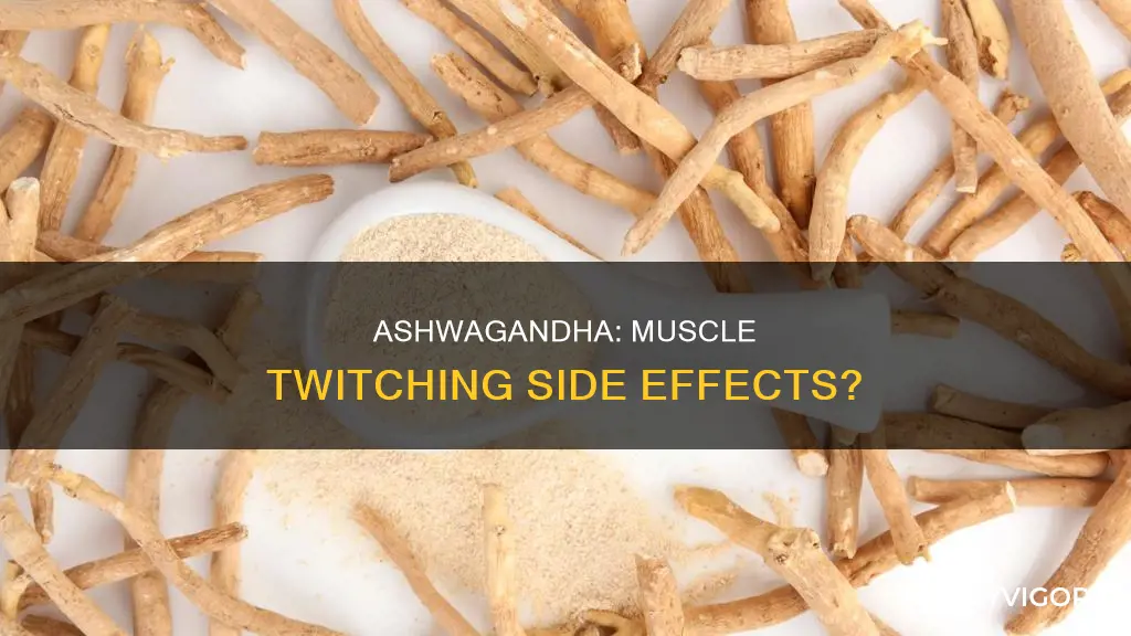 can ashwaganda cause muscle twitches