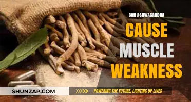 Ashwagandha and Muscle Weakness: What's the Link?