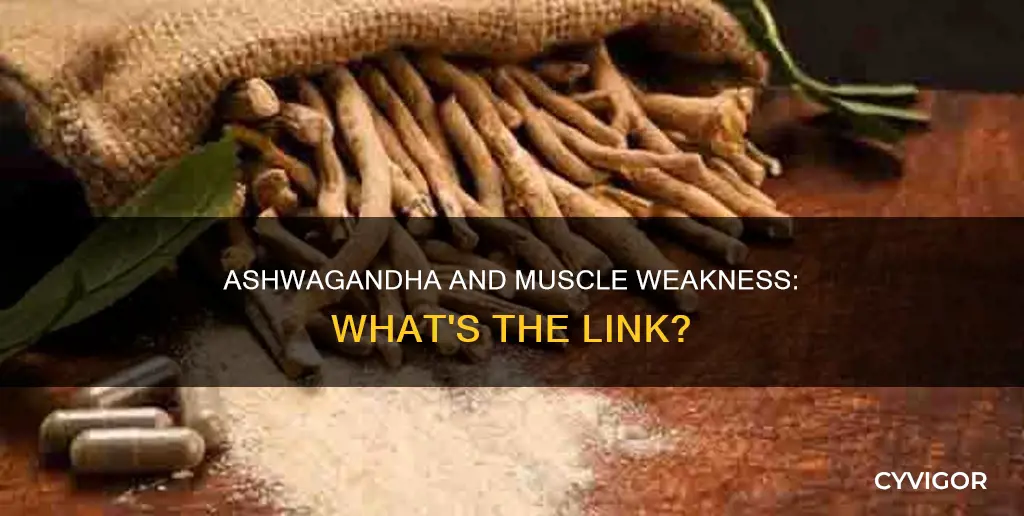 can ashwagandha cause muscle weakness