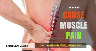 Asthma and Muscle Pain: Is There a Link?