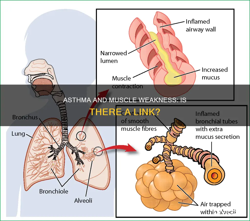 can asthma cause muscle weakness